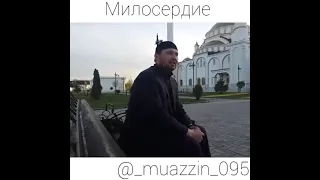 Ч1ОГ1 ХАЗ ХЬЕХАМ МУСА ХАМЗАТОВ