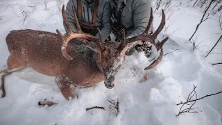 Hunting the Canadian Rockies | Thlete Outdoors