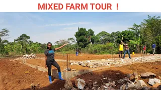 Expanding Our MIXED FARM | FARM UPDATES !