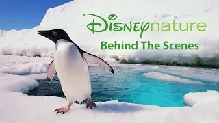 Disneynature's Penguins: Behind The Scenes In Icy Antarctic (2019) Family Nature Movie