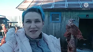 Забой бычка на мясо
