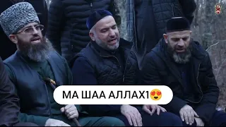 😍Хаза назманаш в лесу. Хож-Ахьмад🔥