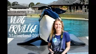 VLOG - Visite Privilège Marineland 2017