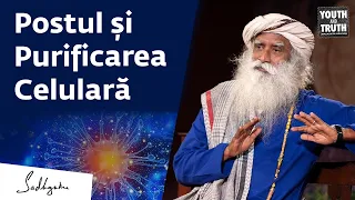 Modul Corect de a Ține Post Intermitent pentru Beneficii Maxime | Sadhguru