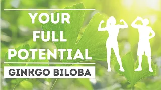 How I Found My Full Potential Using ONLY This! (Ginkgo Biloba)