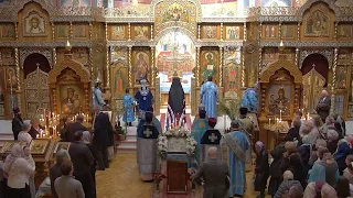 HVC 2022-11-06 Liturgy Престольный Праздник Holy Virgin Cathedral Feastday