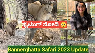 BANNERGHATTA NATIONAL PARK BANGALORE 2023 UPDATE | Jungle Safari | Kannada vlog