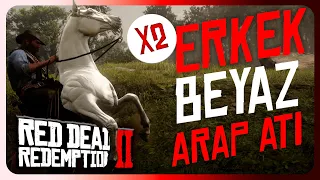 RDR2, 2. Beyaz Erkek Arap Atı Konumu! Nerede Bulunur? Nasıl Yakalanır? Tüm Detaylar!