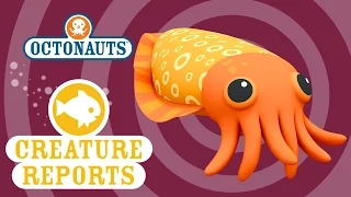Octonauts: Creature Report - Cuttlefish