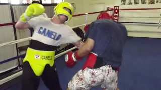 CANELO ALVAREZ HARDEST SPARRING COMPILATION HD