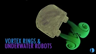 Vortex Rings, Salps, and Underwater Robots