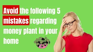 Avoid the following 5 mistakes regarding money plant in your home | Right direction for money plant