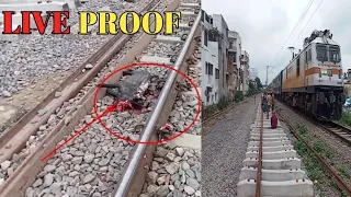 Live Run-over || Speedy Train Hits Pig || Gorakhpur Jn Lucknow Jn Superfast ||