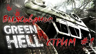 Green Hell [Стрим #1] - Выживание