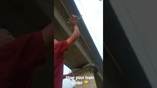 sugar glider train to fly 🔥