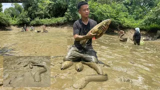 Harvesting fish, grilling fish, going fishing for my parents || HoangVietBac1997