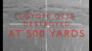 N Vision XRF 500 Yard Coyote Dirt Nap