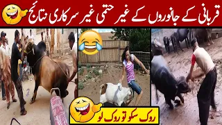 Qurbani Funny Video 2022 | Eid ul azha Funny Moments Caught On Camera | Anari Qasai Videos | PART 2