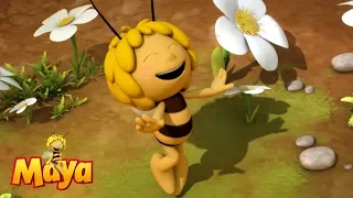 The bee Dance - Maya the bee 🐝