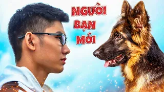 Quang BM | Đón Bạn Mới Về Nhà 🐶 | Welcome New Friend