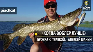 "Когда воблер лучше." Бровка с травкой.  Алексей Шанин. Anglers Practical