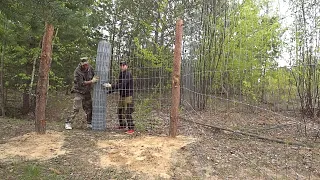 ТАКОГО ЗАБОРА В ЭТОЙ ДЕРЕВНЕ НИ У КОГО НЕТ. ЗАКРЫЛИСЬ 2-Х МЕТРОВОЙ ШАРНИРНОЙ СЕТКОЙ. ЖИЗНЬ В ДЕРЕВНЕ