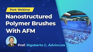 Park Webinar - Nanostructured Polymer Brushes with AFM