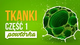 TKANKI cz. 1 - Powtórka z biologii