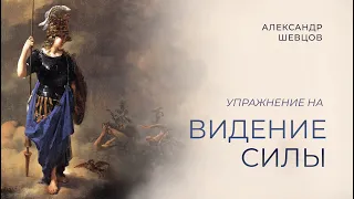 Видение силы | Александр Шевцов