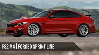 Imola Red F82 M4 on APEX 19" VS-5RS and EC-7RS Wheels