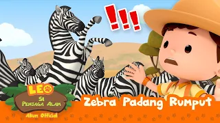 Zebra Padang Rumput | Leo Si Penjaga Alam | #minisode