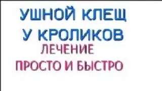 Ушной клещ у кролика. Лечение легко и просто. Псороптоз у кролика.