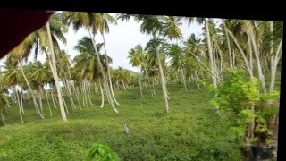 Экскурсия на остров Samana. Доминикана.