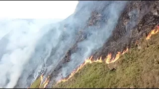 57 hectáreas afectadas por incendios forestales en Antioquia