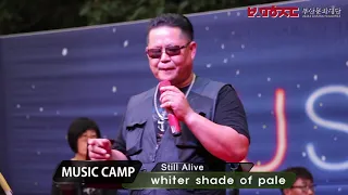 부산직장인밴드 Still Alive-whiter shade of pale 2016부산음악캠프