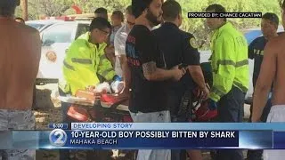 Boy hospitalized after apparent shark bite in Makaha