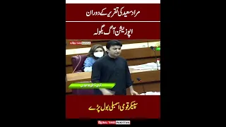 Heavy Fight Of Murad Saeed In National Assembly | Imran Khan | Global Times Pakistan