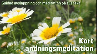 Guidad avslappning på svenska: Kort andningsmeditation (7 min)