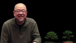 Overwintering Bonsai, with Hong, 2016