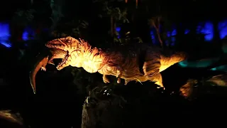 Dinosaur Ride @ Animal Kingdom January of 2021