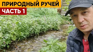 Природный ручей. Часть 1 | Как использовать ручей в строительстве пруда?