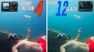 GoPro HERO 12 vs DJI Osmo ACTION 4: La COMPARATIVA COMPLETA!