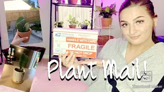 Unboxing plant mail!