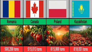 Top 50 Tomato Producing Countries 🍅