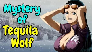 What happened in Tequila Wolf One Piece