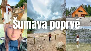 První dojmy a tipy z Šumavy⛰️🏕️