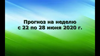 Прогноз на неделю с 22 по 28 июня 2020 г.