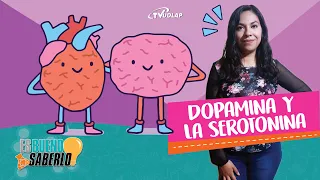 Dopamina y Serotonina | Es Bueno Saberlo