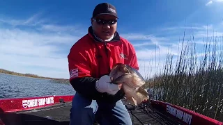 Ca Delta Bass Fishing February 2018 First Prespawn Bedfish