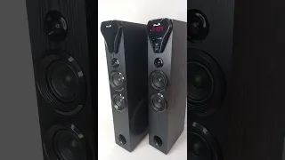 Акустическая система ELTRONIC 20-80 HOME SOUND